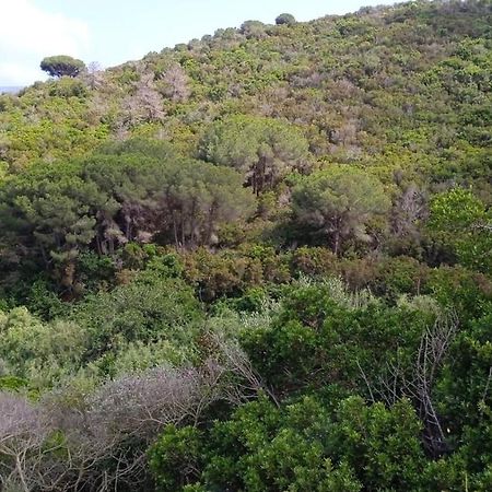مبيت وإفطار بورتوفيرّايو Buen Retiro المظهر الخارجي الصورة
