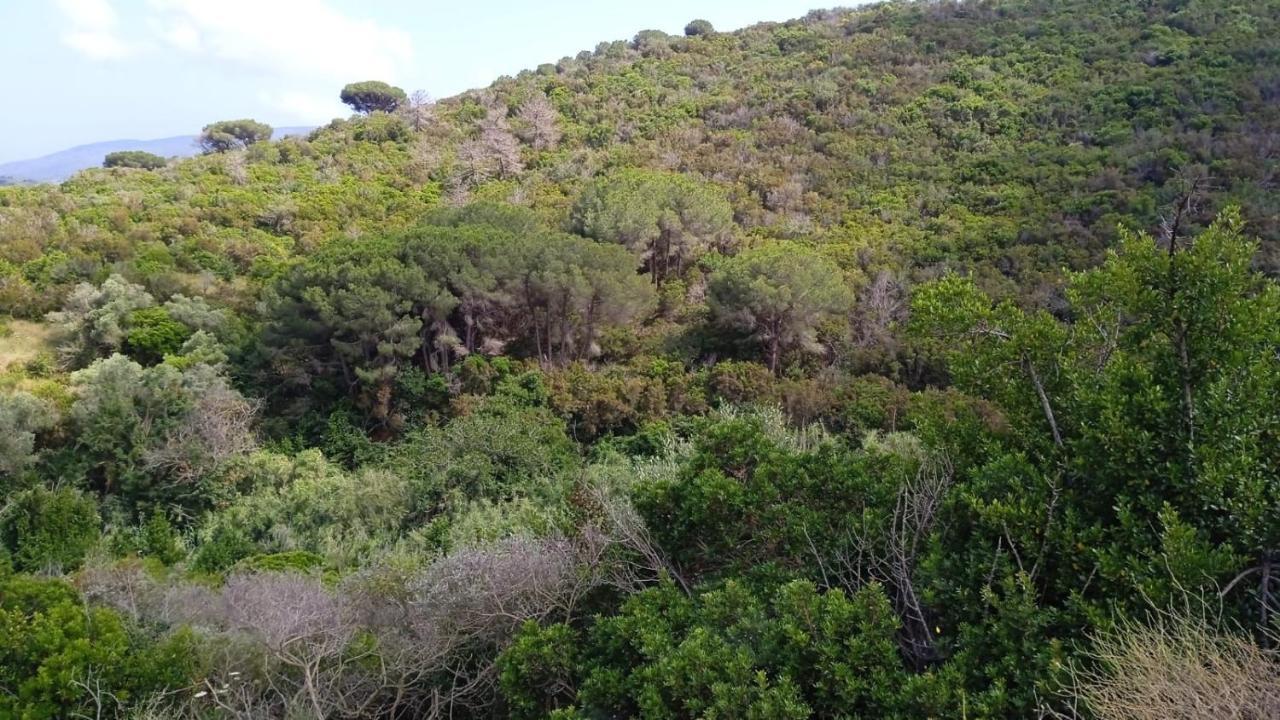 مبيت وإفطار بورتوفيرّايو Buen Retiro المظهر الخارجي الصورة